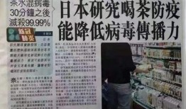 广东最新爆料消息新闻报道,聚焦热点事件深度解析